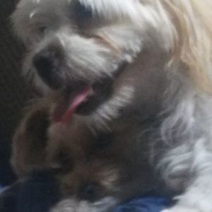 Meet your Posher, Ajae